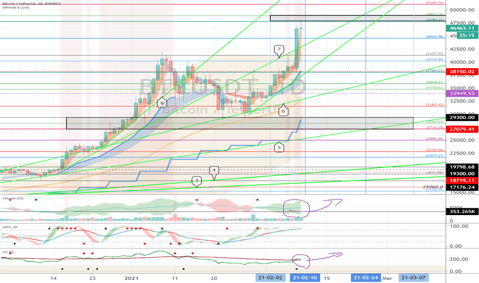 Bitcoin (BTC) - February 10 (USDT Dominance Check)