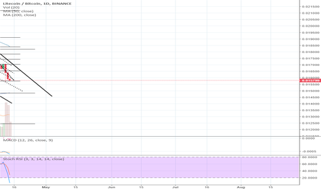 DIGITAL ALPHA UPDATE - LTC, Large Cap