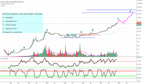 Bitcoin Long-term market cycle study on LOG chart