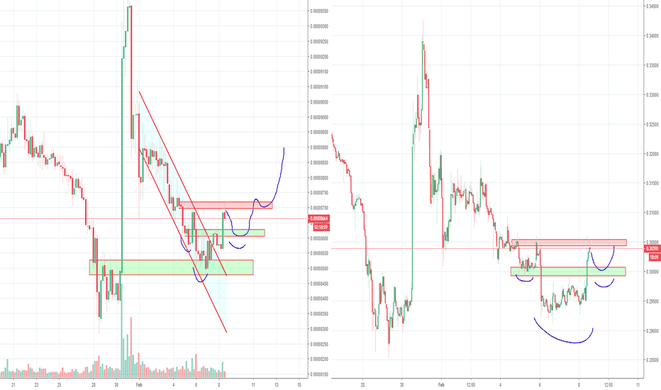 Ripple XRP Fake Rally Phase over and Going up Again?