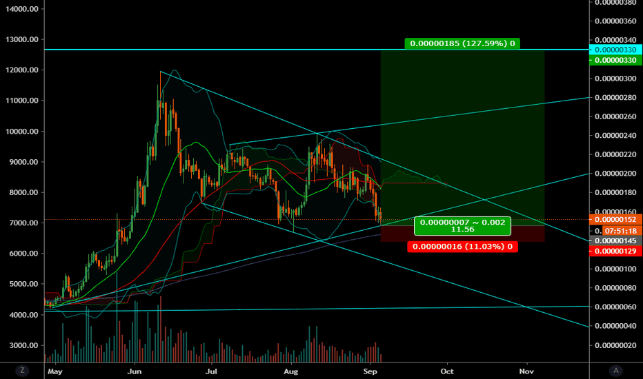 #ZIL/BTC (Sept 05)