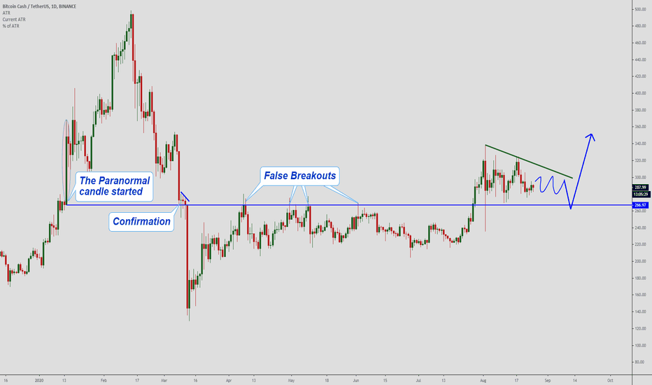 BCHUSDT, Possible scenario...