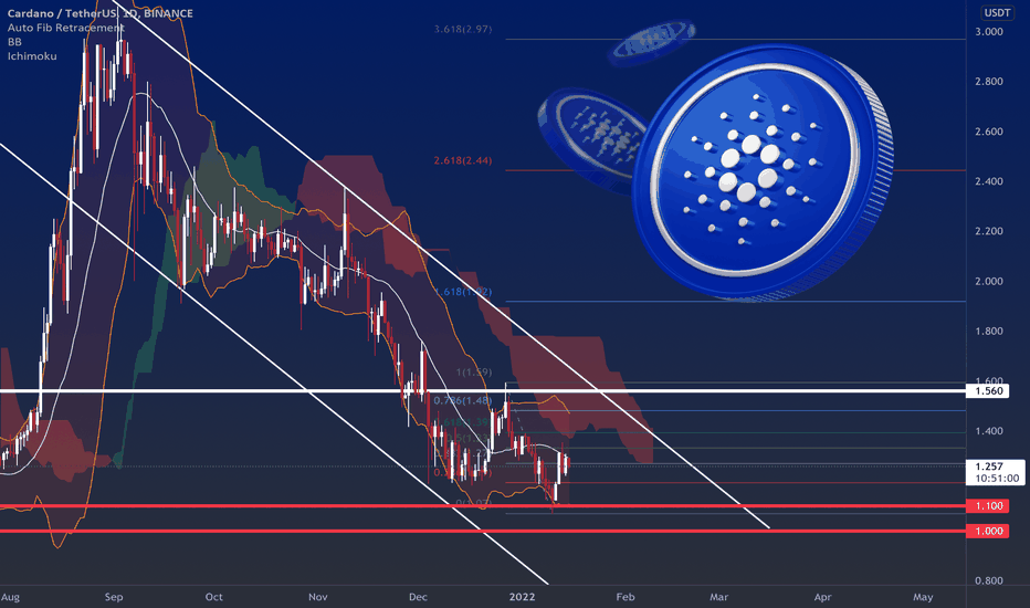 Cardano Analysis