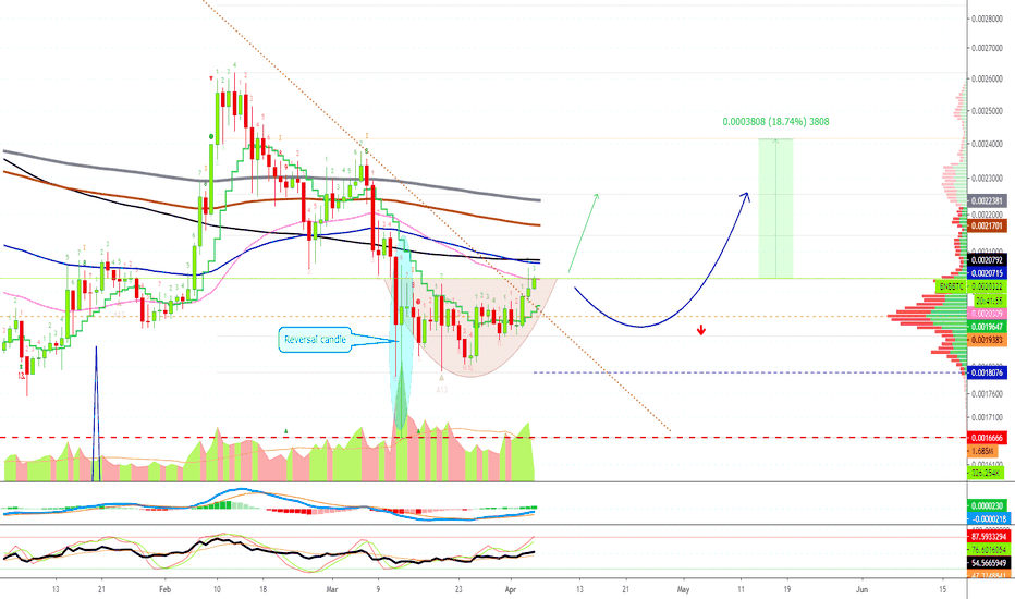 Binance Coin vs Bitcoin | Multiple Timeframes