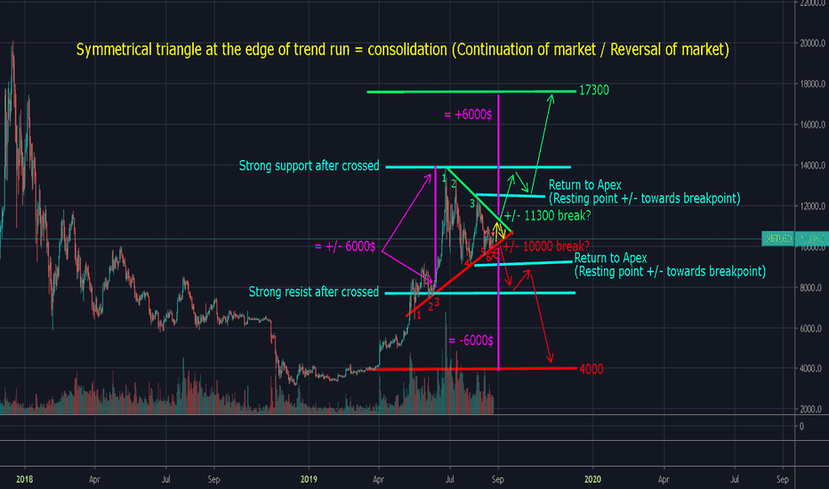 Breaking the symmetrical, the traders survivor guide by hedgehog