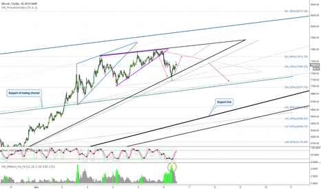 BITCOIN Short Term Correction (BTC/USD)