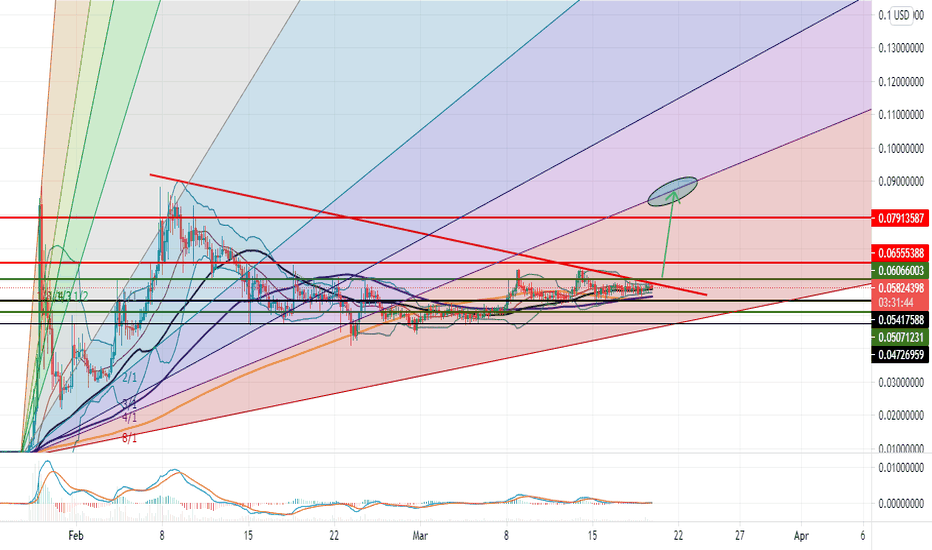 Doge! Almost break out!