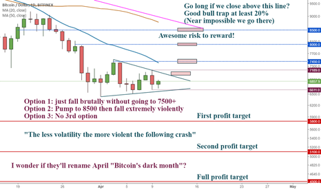 Crypto spam box 4. The fall is going to be so brutal...