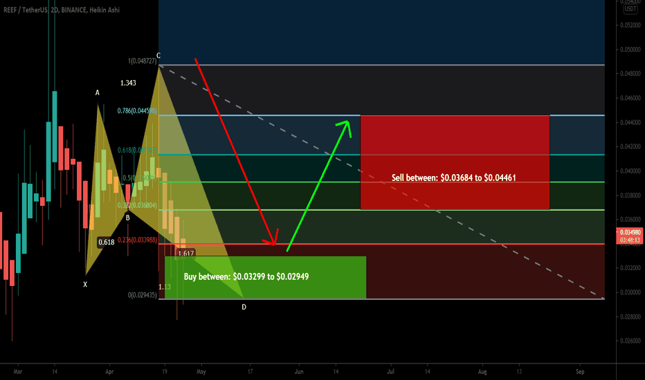 Reef has formed bullish Shark | Upto 51% move expected