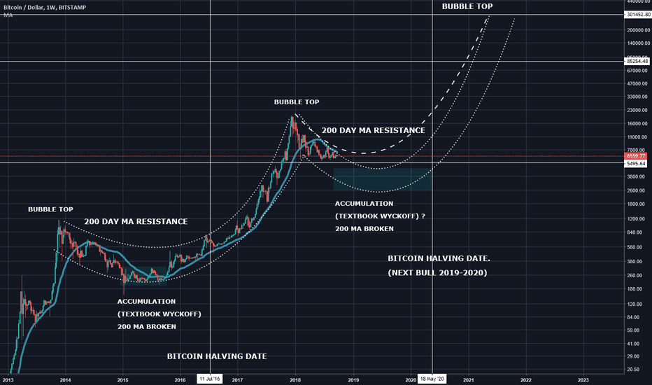Bitcoin: This Is The End. 300,000 USD Target. 