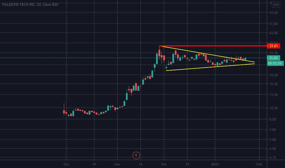Palantir Call option for the next 2-4 wks sounds perfect!