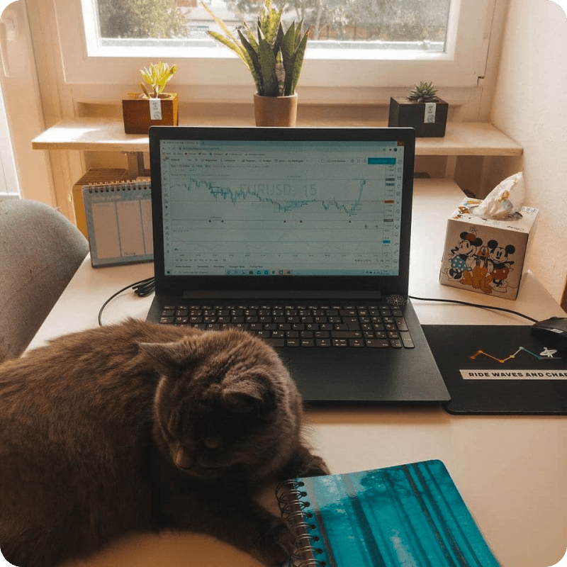 TradingView Chart on Instagram @trade_surfer