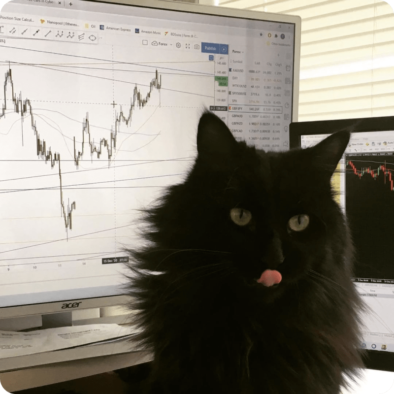 TradingView Chart on Instagram @chuckindex