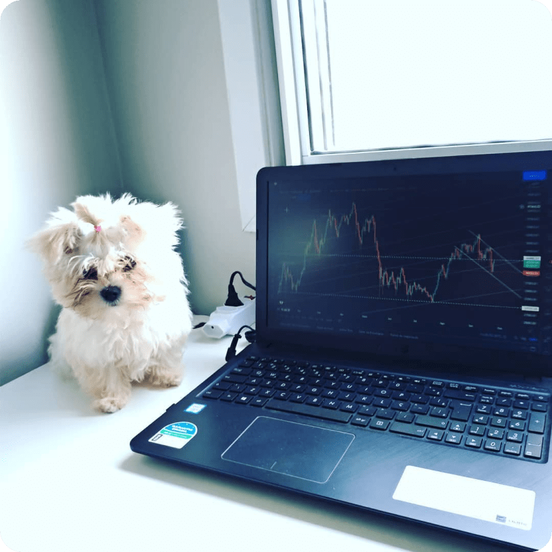 TradingView Chart on Instagram @ocasalinveste