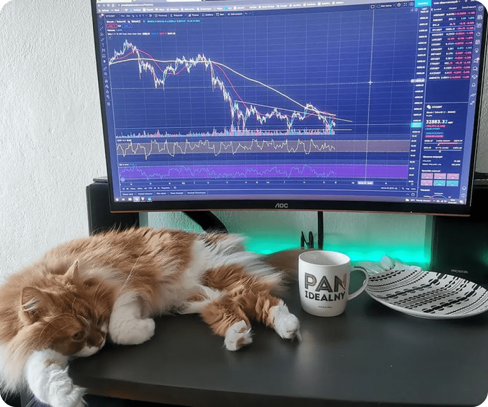 TradingView Chart on Instagram @cryptokitku